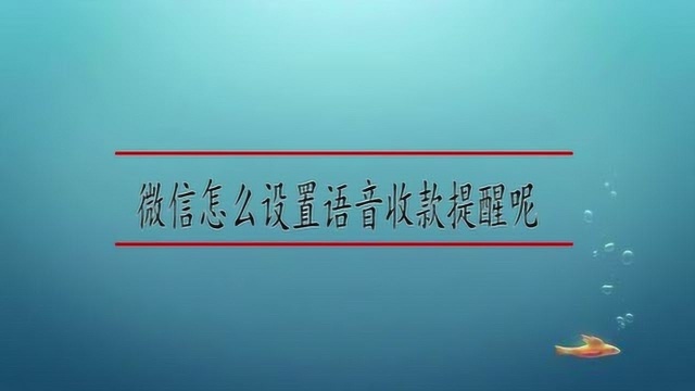 微信怎么设置语音收款提醒呢/