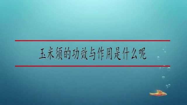 玉米须的功效与作用是什么呢