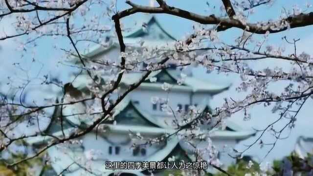 来日本旅游一定要来打卡的景点,名古屋城和则武森林