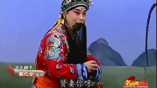 河北梆子《南北合》选段 张树群饰杨八郎