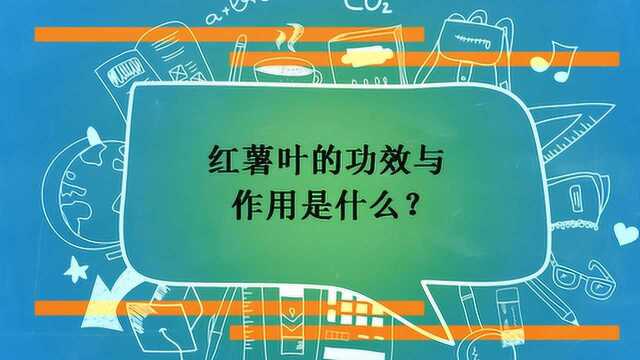 红薯叶的功效与作用是什么?