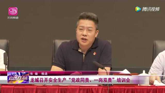 广电《龙岗新闻》龙城召开安全生产“党政同责、一岗双责”培训会