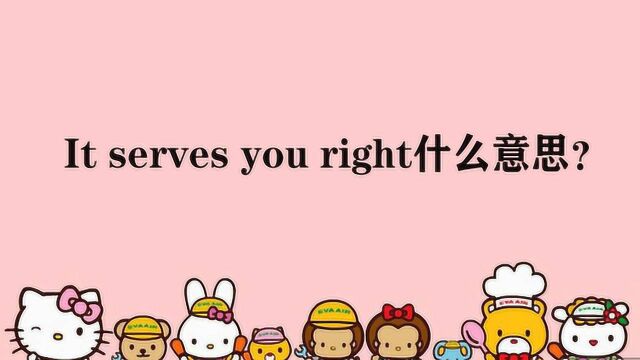 It serves you right什么意思?