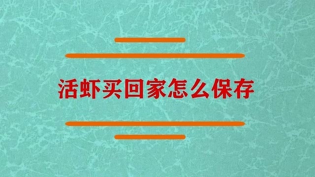 活虾买回家应该怎么保存?