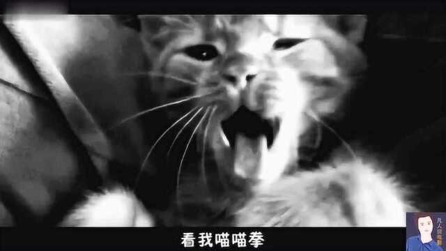 分分钟看完恐怖电影《世界奇妙物语之猫的报恩》