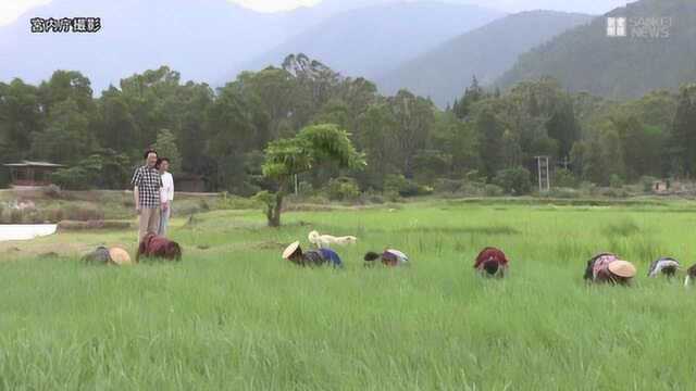 在文仁亲王面前的纪子妃,俨然一个小女人的形象