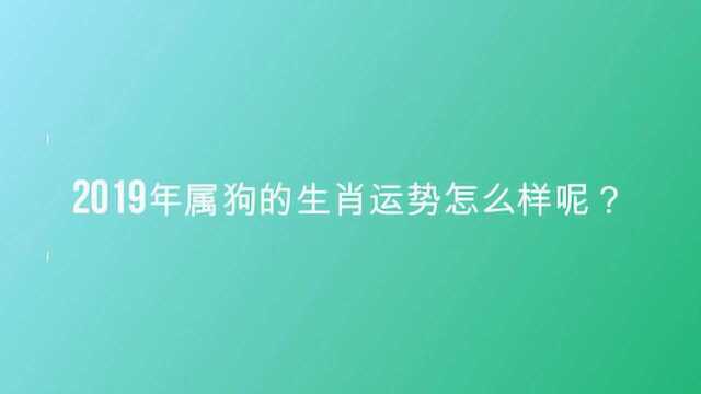 2019年属狗的生肖运势怎么样呢?