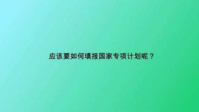 应该要如何填报国家专项计划呢?