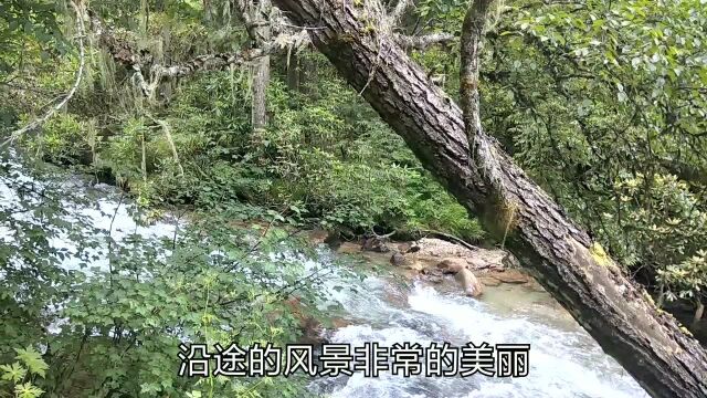 阿坝理县,毕棚沟景区,值得一去.