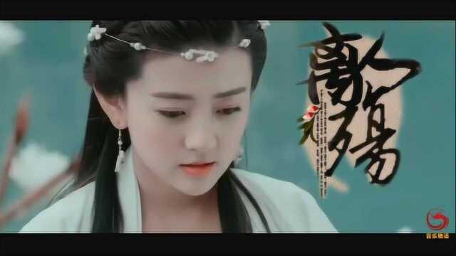 古风歌曲《离人殇》古装美人群像:有美一人,清扬婉兮,见之难忘