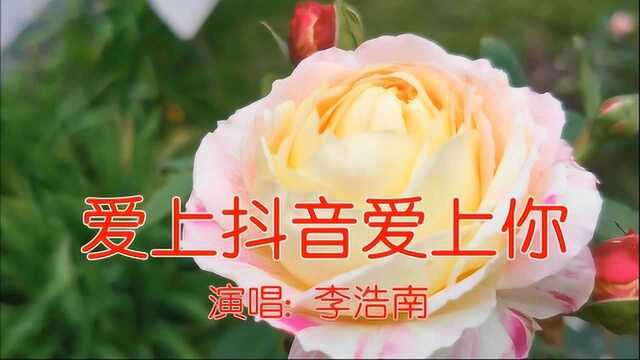 一首DJ情歌《爱上抖音爱上你》深情动听,醉人醉心,好听极了!