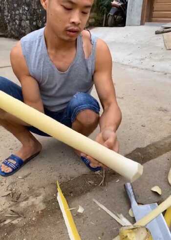 槟榔树心,你们吃过吗?