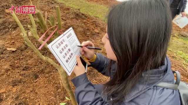 重庆多家企业发放暖心复工福利防“疫”健身两不误