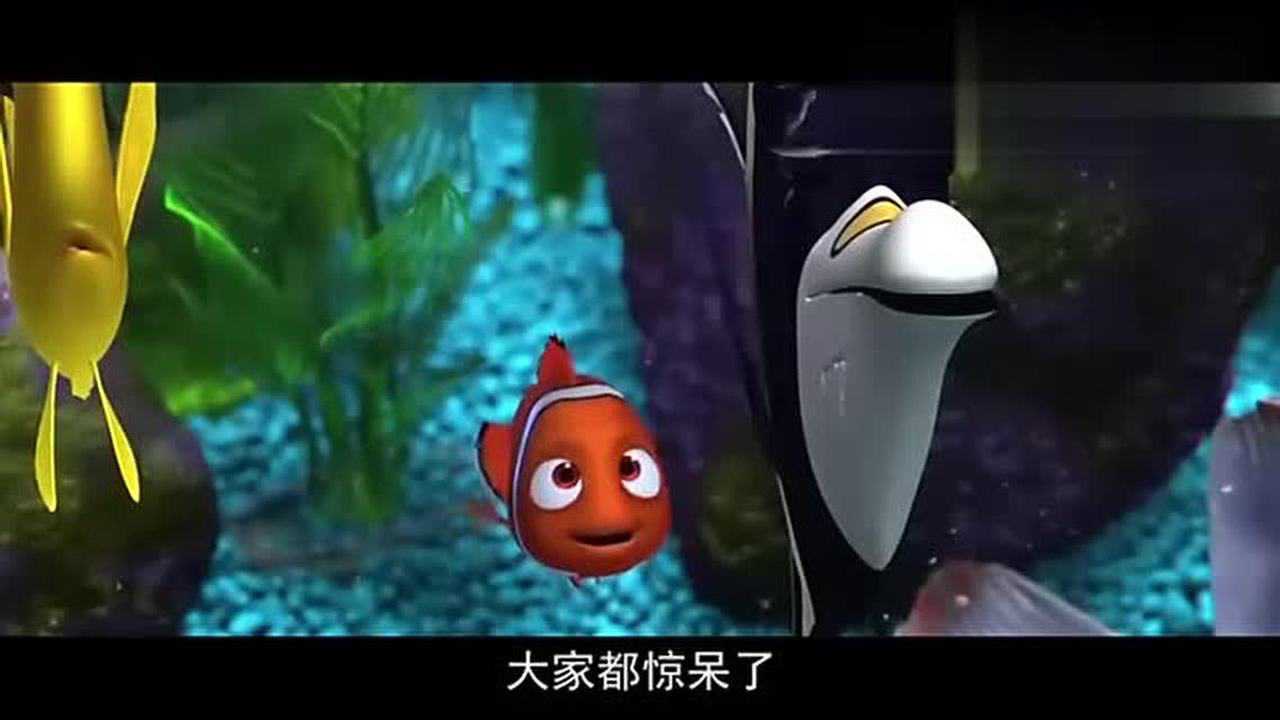 高评分电影:从此,世上的小丑鱼都有了个共同的名字,尼莫