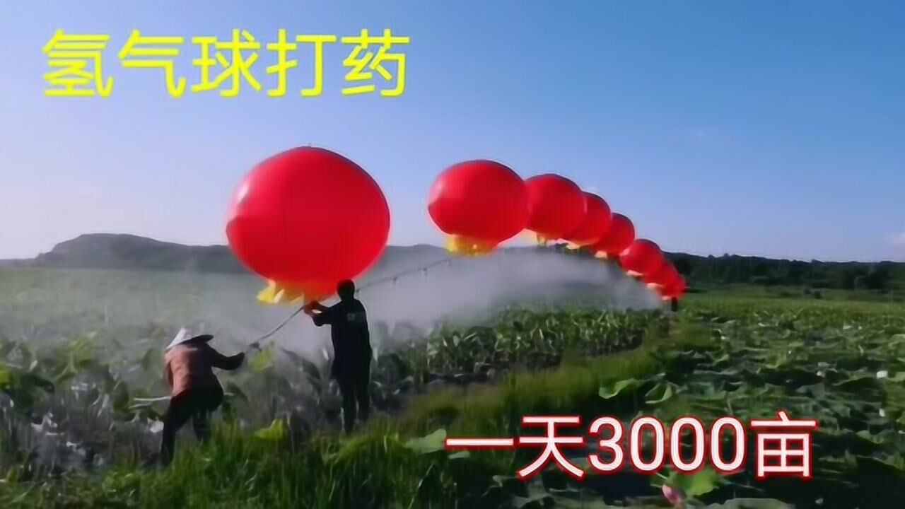 高云氢气球机图片