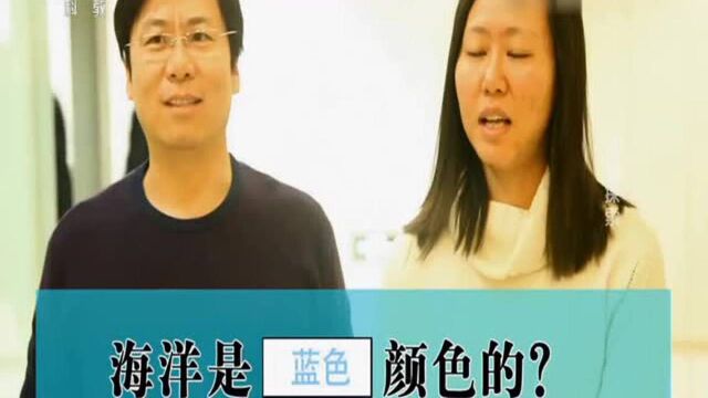 大海只是有蓝色的?居然还有这四种颜色!