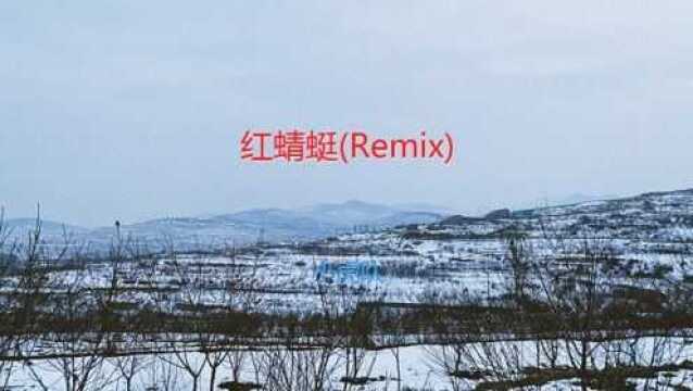 红蜻蜓(Remix)小虎队