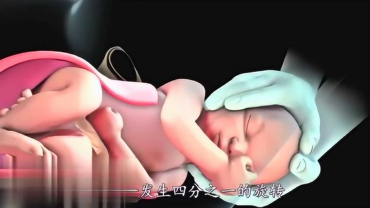 3d动漫演示准妈妈分娩全过程看完才知道原来我老婆真的好伟大