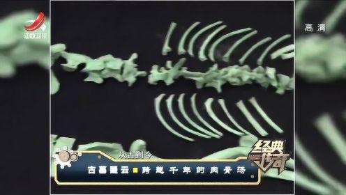 古墓疑云3：千年古墓发掘出肉骨头汤，怎料一个问题难倒在场专家