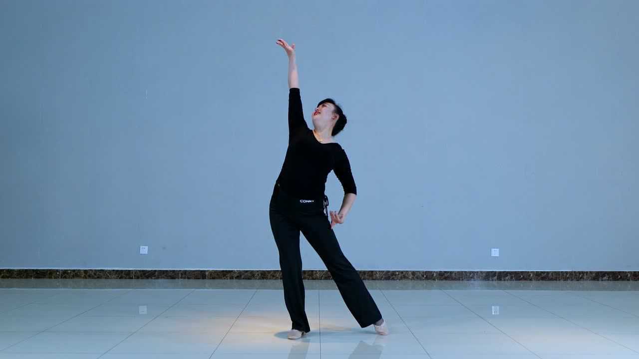 傣族舞《月亮》分解动作版