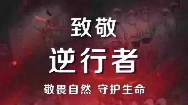 王美静:致敬社区工作者