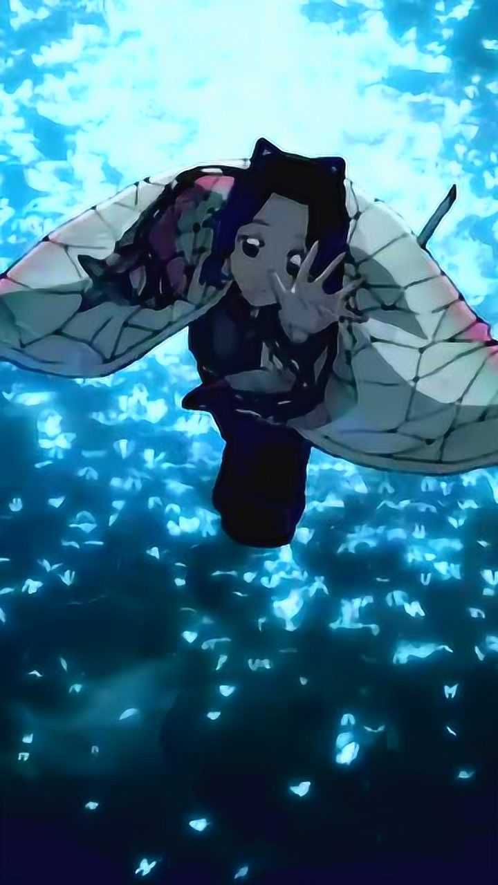 虫柱蝴蝶忍帧帧都是壁纸