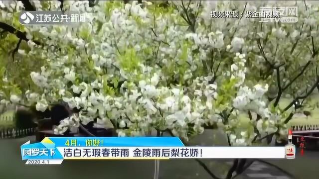 4月你好!春暖要回来啦!雨水暂停 晴好、升温将成主旋律