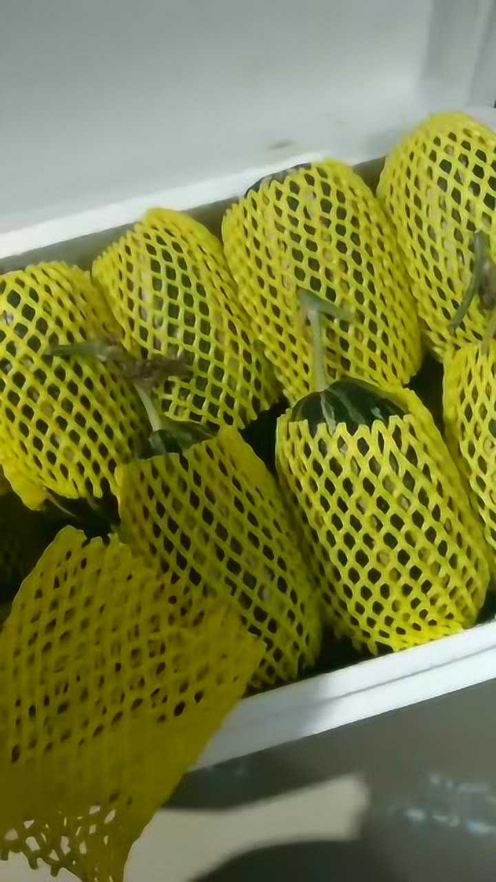 原来这就是超级甜的花纹甜瓜?终于长见识啦!