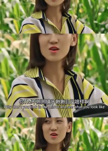 速度与激情方正与小李老师乡村爱情版
