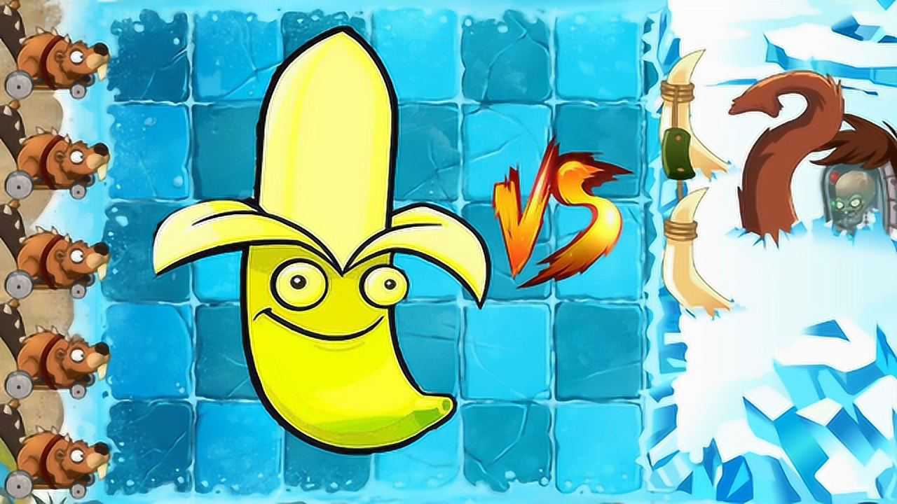 植物大战僵尸pvz2:999999级香蕉vs獠牙征服者,香蕉一炮顶几炮