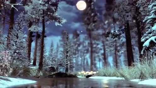 睡前ASMR,夜晚的月光森林环境音白噪音