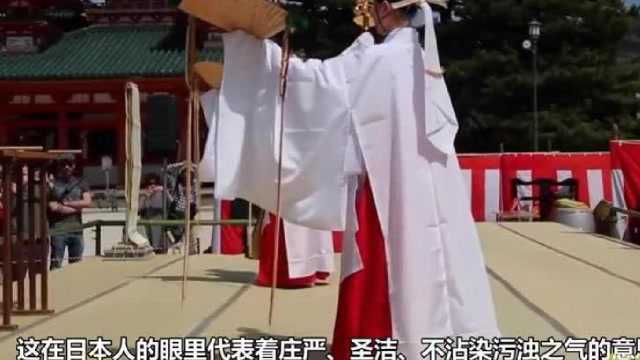 日本女孩子都想当神圣的神社巫女,但有一点却是常人难以忍受的!