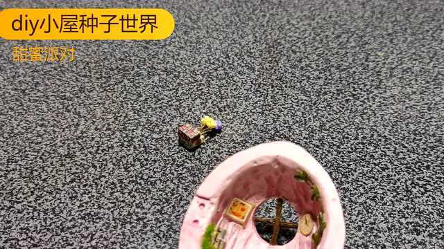 diy小屋核桃种子世界甜蜜派对(下)