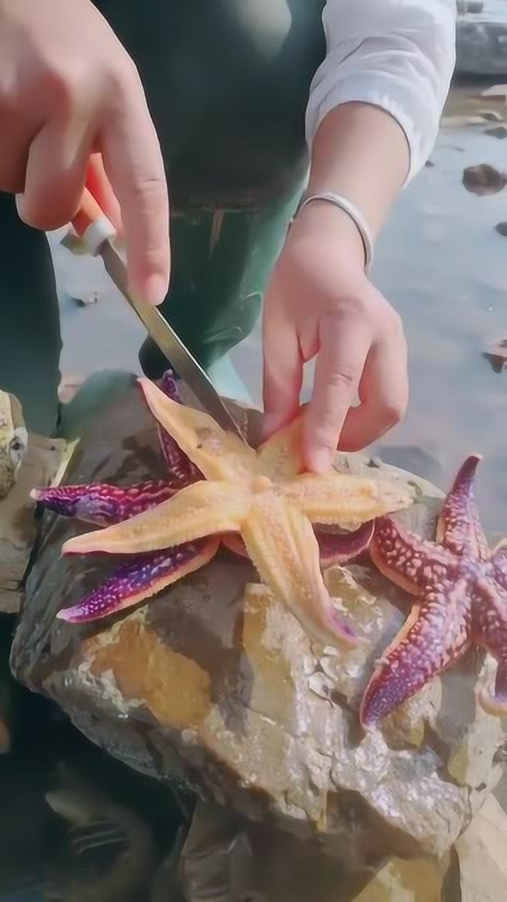 喜欢吃海星的注意看了,这样处理才是最正确的