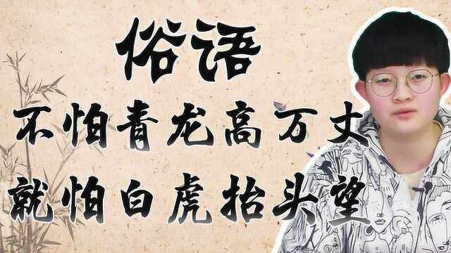 俗语“不怕青龙高万丈,就怕白虎抬头望”,讲的是啥?看完涨见识