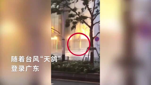 台风“天鸽”登陆广东市民纷纷被“吹飞”