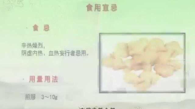 “早上三片姜,胜过饮参汤”这是真的吗?听中医药大学老师怎么说姜!