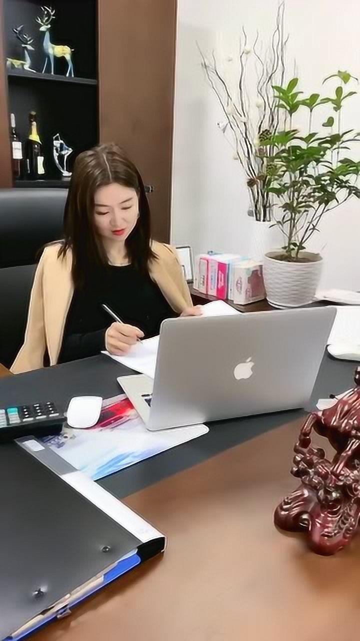 湖北单身女老板,输了爱情赢了事业,目前在广东开玩具厂