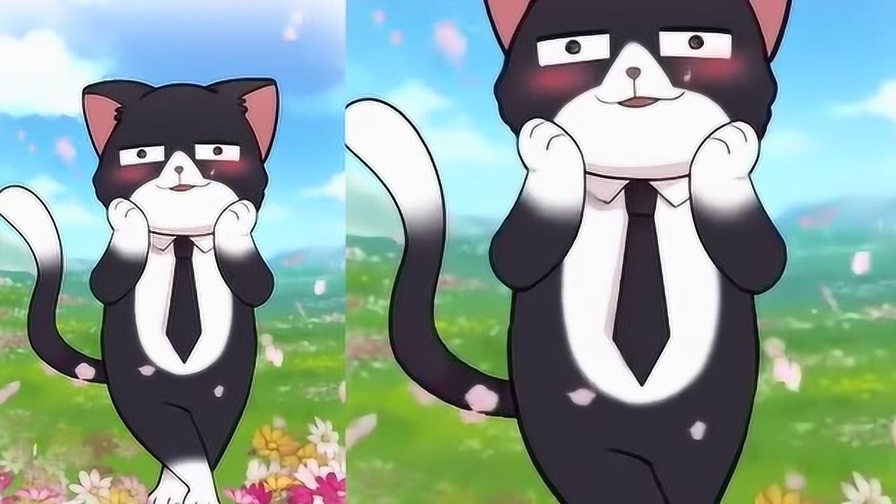 猫总白一航:我喝的是酒吗?是醋!