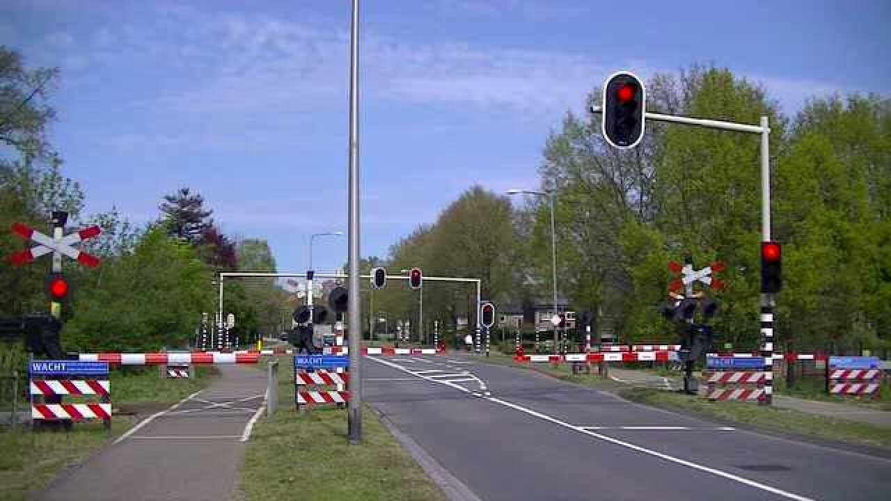 荷兰的铁路交叉口,好多个栏杆一起放下