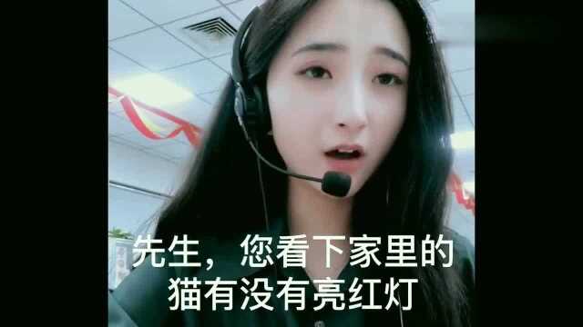 小伙上不去网找客服,一报电话号码,小姐姐打人的心都有了!