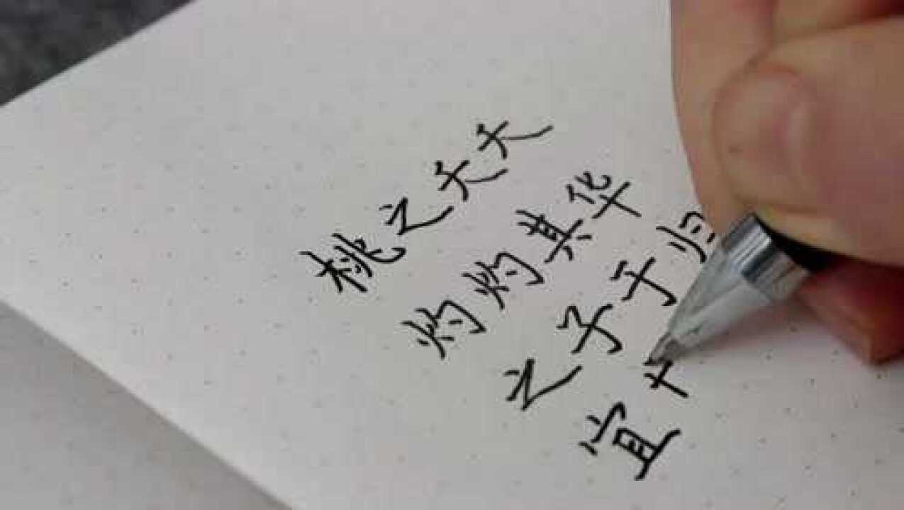 练字打卡硬笔书法桃之夭夭灼灼其华