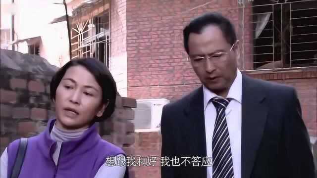 独生子女:负心汉抛妻弃子,如今有难了,又回来找前妻帮忙