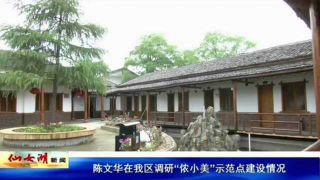 陈文华在我区调研“侬小美”示范点建设情况