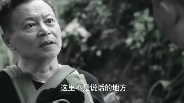 曾山林以为儿子战死,却没想到是儿子自导自演的背叛,太寒心了