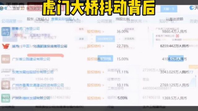 虎门大桥抖动的背后是离岸公司