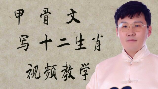 视频教学:钢笔书写十二生肖甲骨文,一个汉字就是一个故事