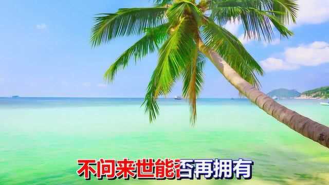 一首情歌《美好的守候》好听极了