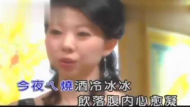 一首烧酒歌《烧酒伴我过一生》甲子慧美女深情演唱