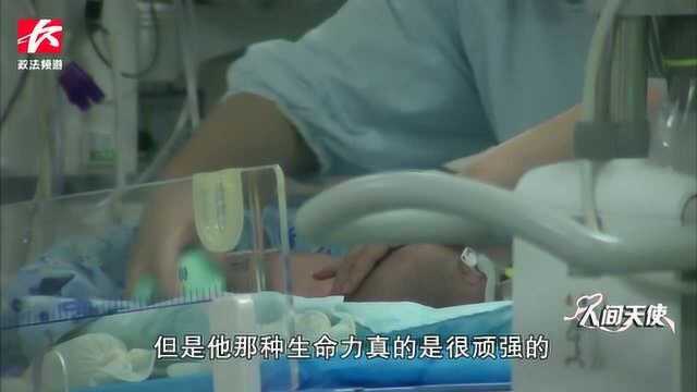 特殊无陪病房:护士照顾早产儿13年,用母爱去温暖每个孩子